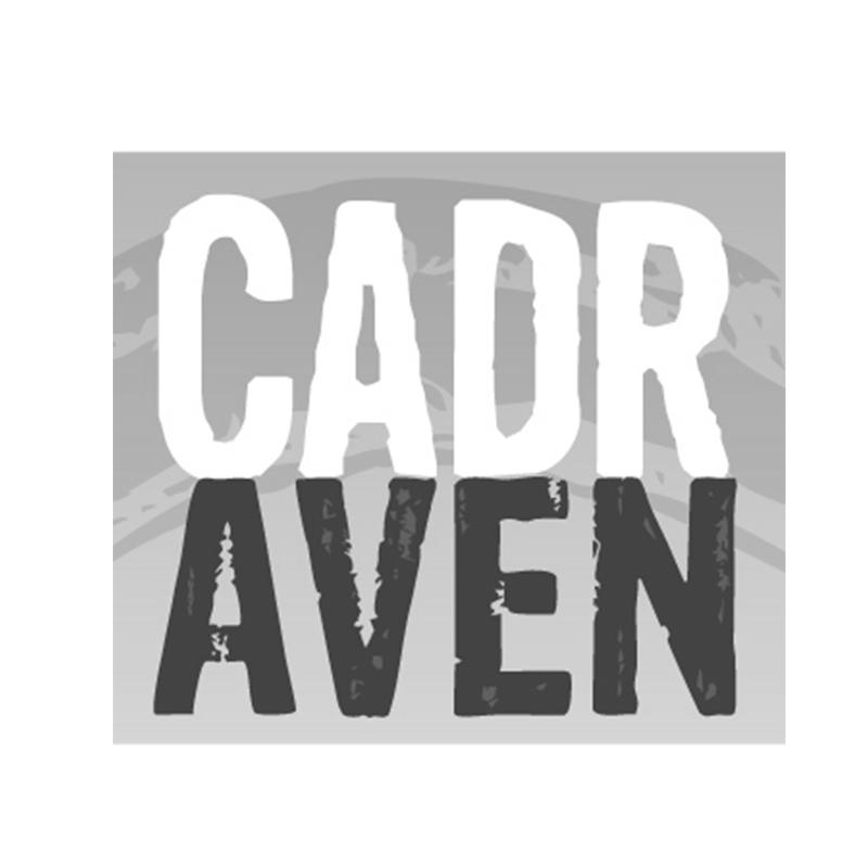 16类-办公文具CADR AVEN商标转让