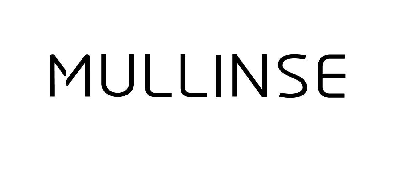 19类-建筑材料MULLINSE商标转让