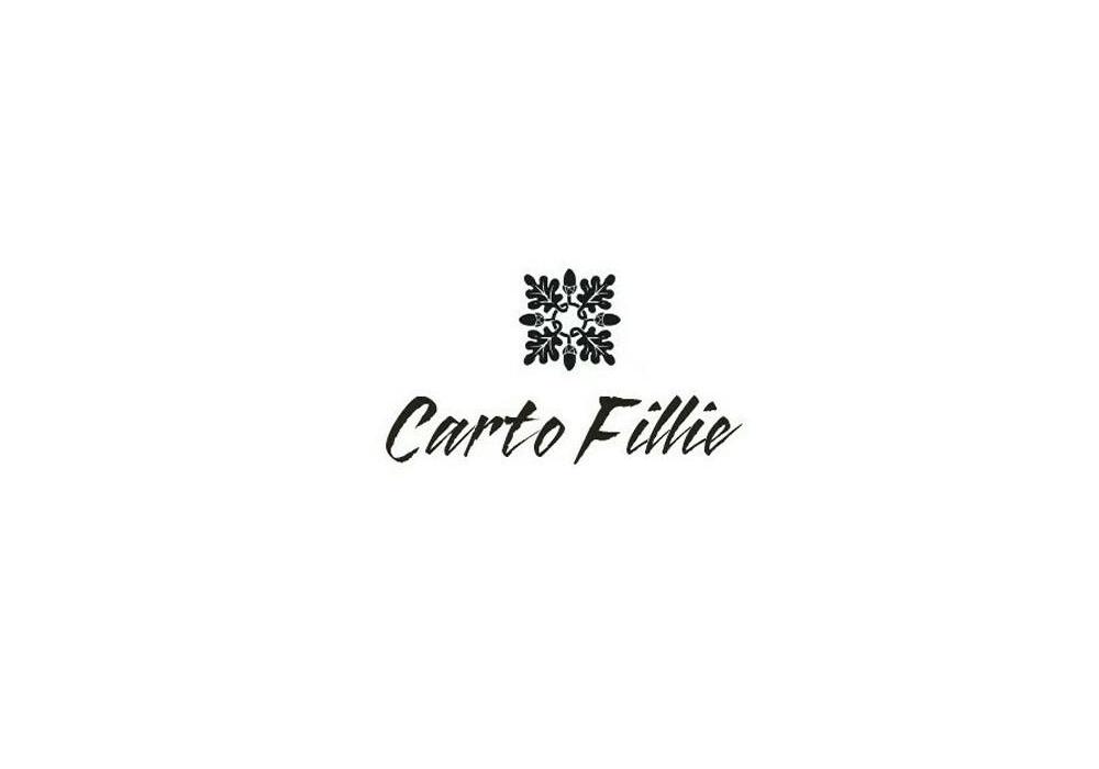 25类-服装鞋帽CARTO FILLIE商标转让