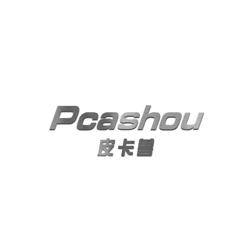 09类-科学仪器皮卡兽 PCASHOU商标转让