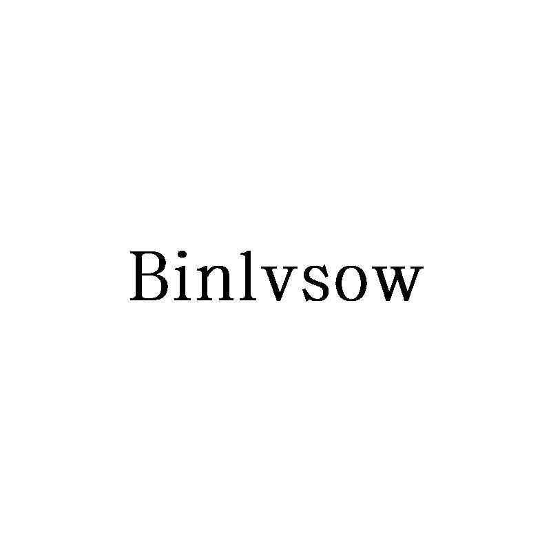 09类-科学仪器BINLVSOW商标转让