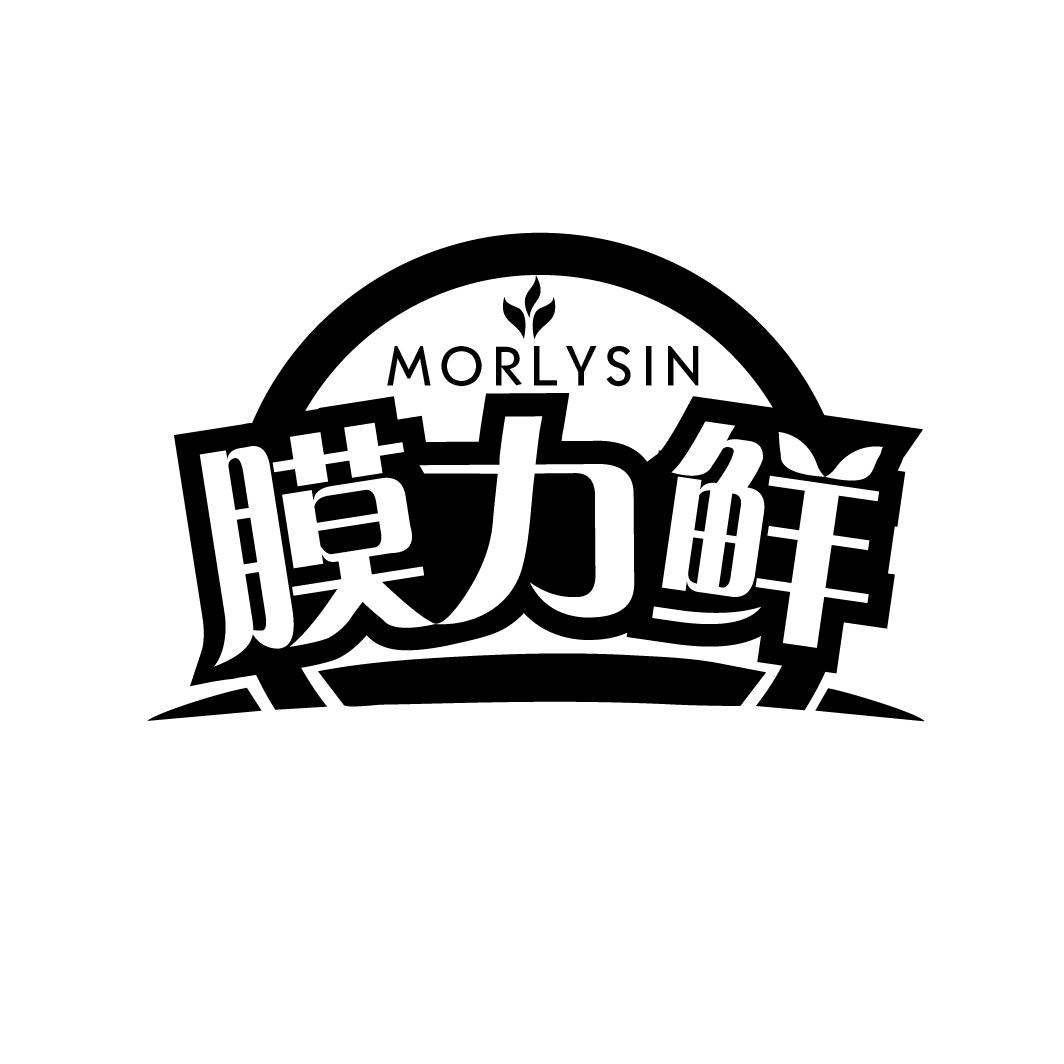 16类-办公文具膜力鲜 MORLYSIN商标转让