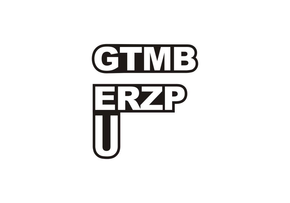 25类-服装鞋帽GTMB ERZP U商标转让
