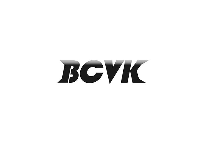09类-科学仪器BCVK商标转让