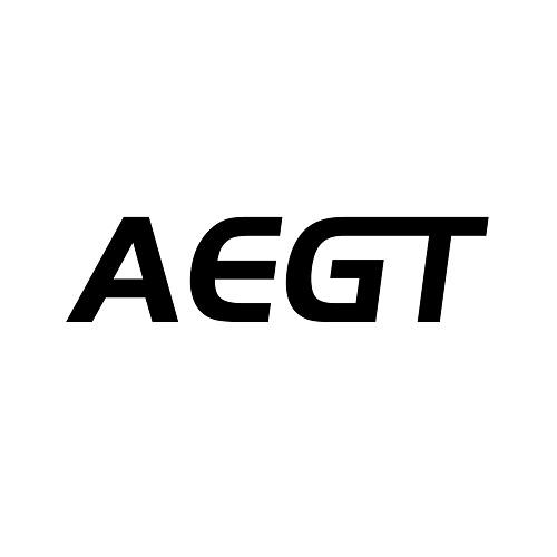 12类-运输装置AEGT商标转让