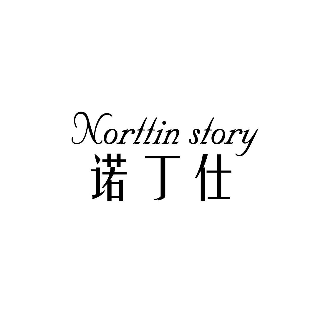 诺丁仕 NORTTIN STORY商标转让