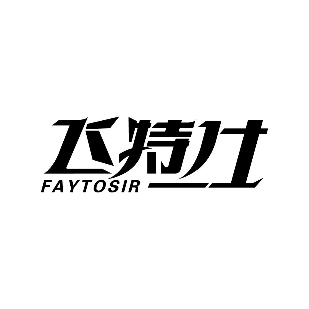 飞特仕 FAYTOSIR