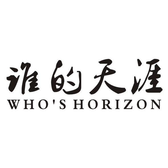 25类-服装鞋帽谁的天涯 WHO'S HORIZON商标转让