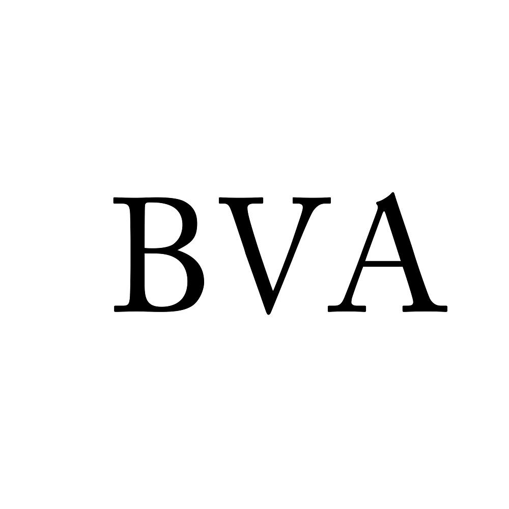 25类-服装鞋帽BVA商标转让