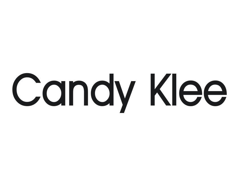 18类-箱包皮具CANDY KLEE商标转让