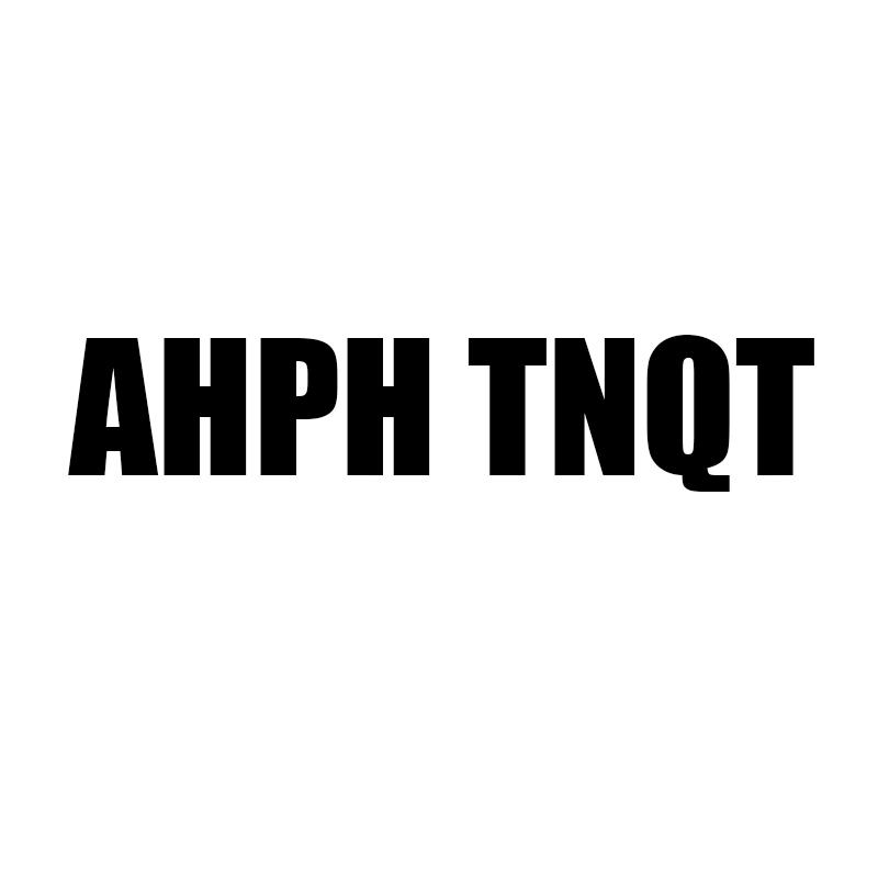25类-服装鞋帽AHPH TNQT商标转让