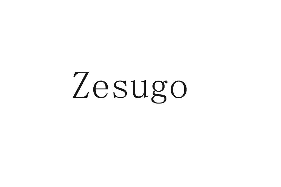 山东商标转让-25类服装鞋帽-ZESUGO