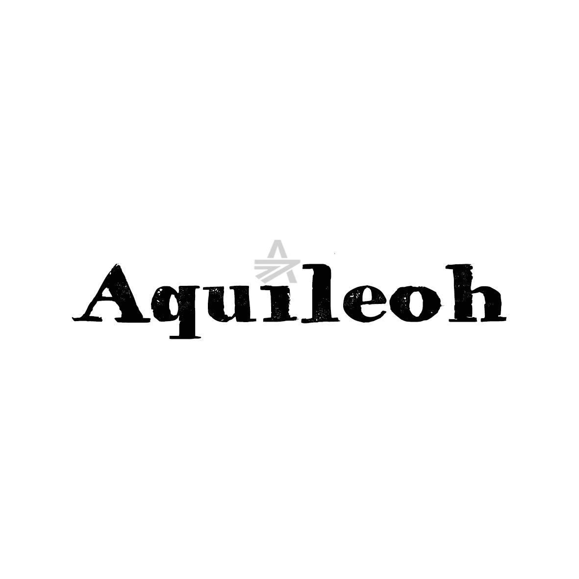25类-服装鞋帽AQUILEOH商标转让