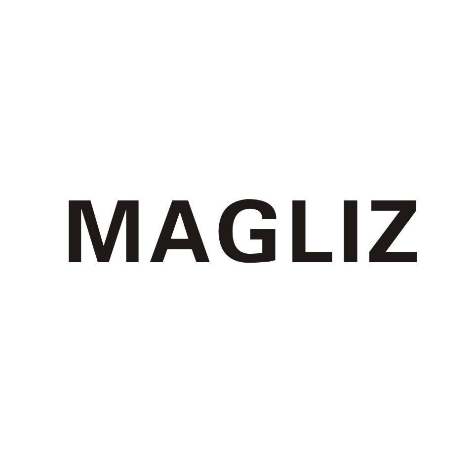 25类-服装鞋帽MAGLIZ商标转让