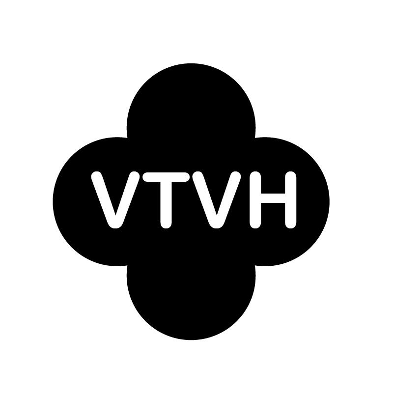 14类-珠宝钟表VTVH商标转让