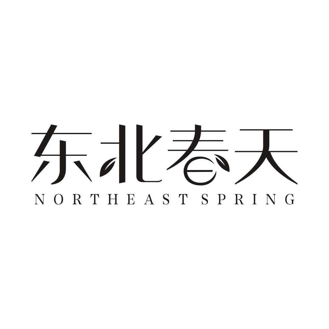 31类-生鲜花卉东北春天 NORTHEAST SPRING商标转让