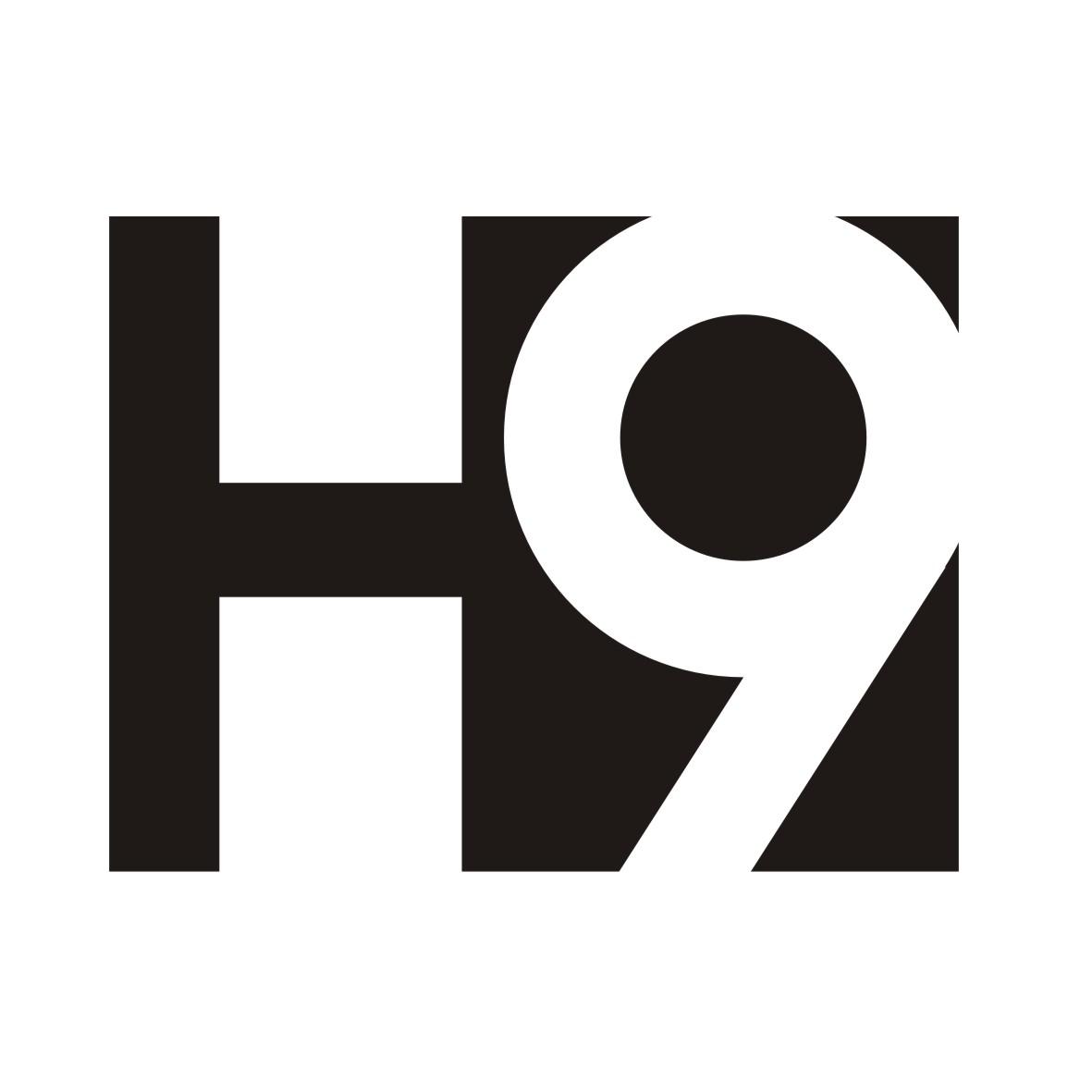 H 9商标转让