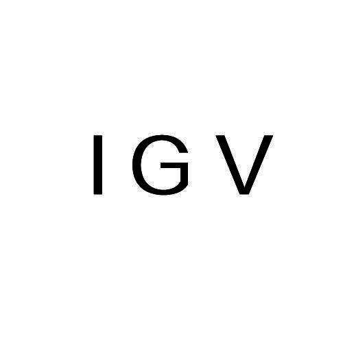 IGV商标转让