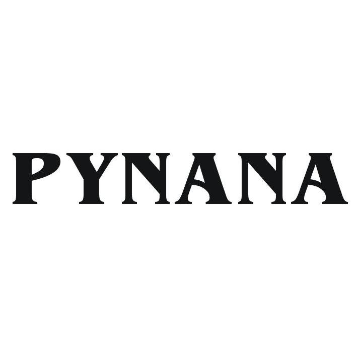 09类-科学仪器PYNANA商标转让