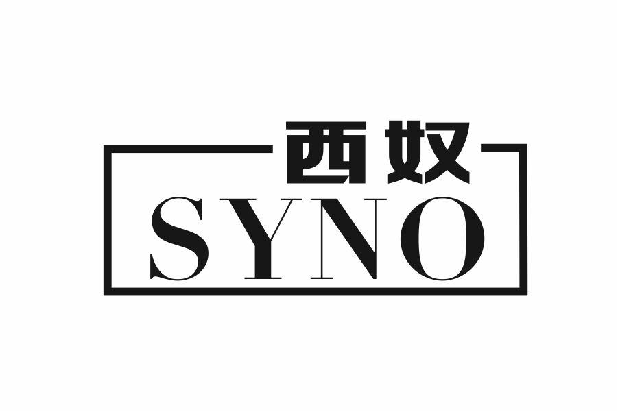 09类-科学仪器西奴 SYNO商标转让