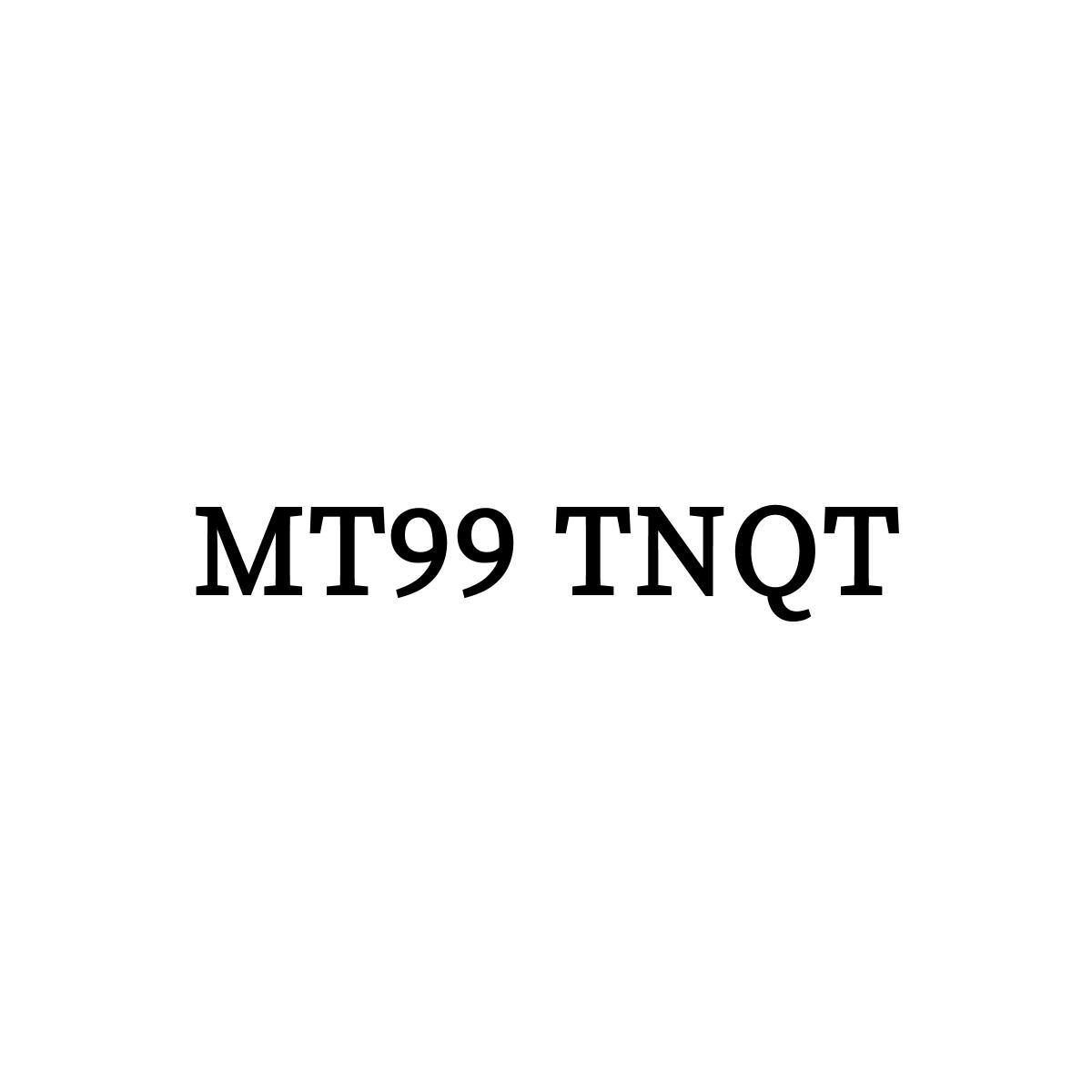 25类-服装鞋帽MT99 TNQT商标转让