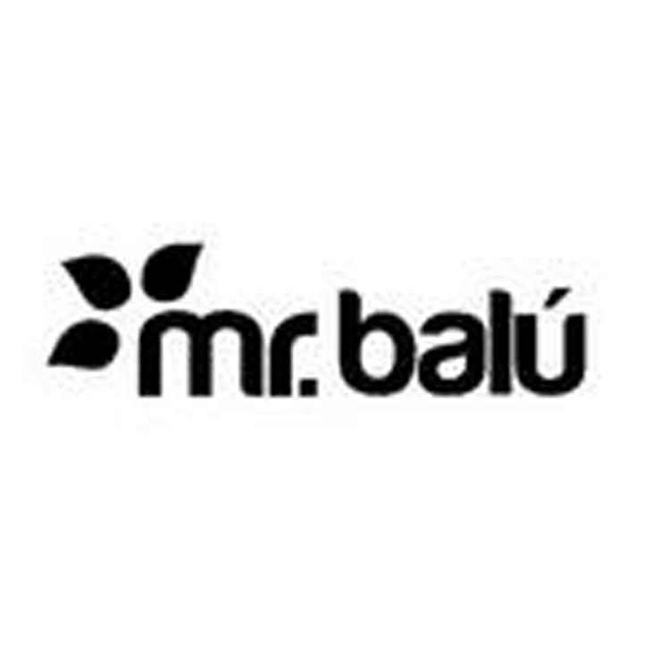 20类-家具MR.BALU商标转让