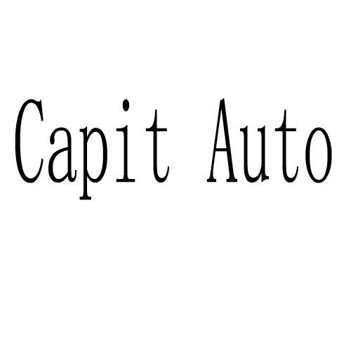 CAPIT AUTO商标转让