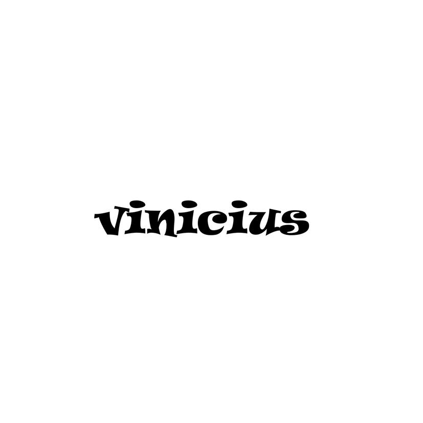 28类-健身玩具VINICIUS商标转让