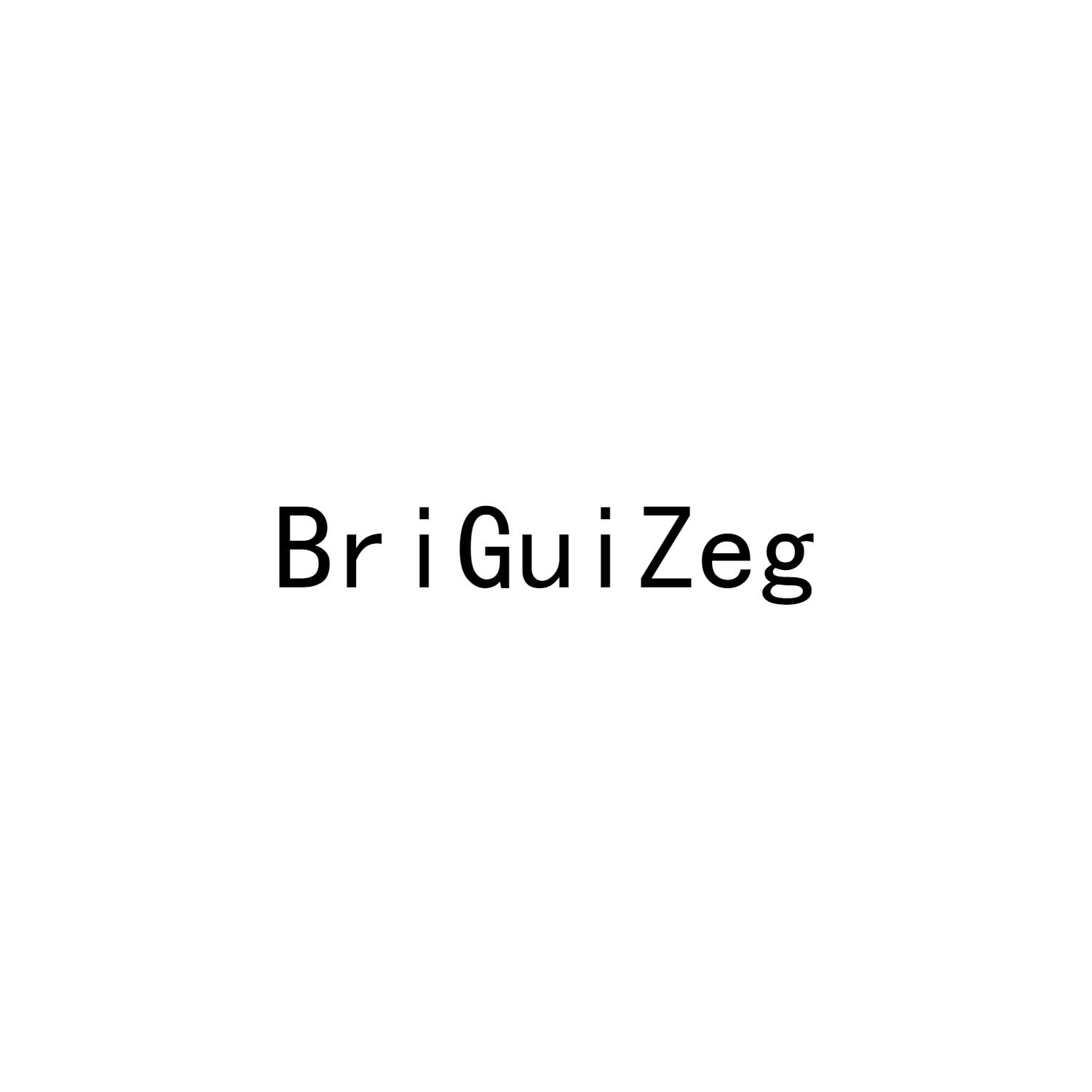 28类-健身玩具BRIGUIZEG商标转让