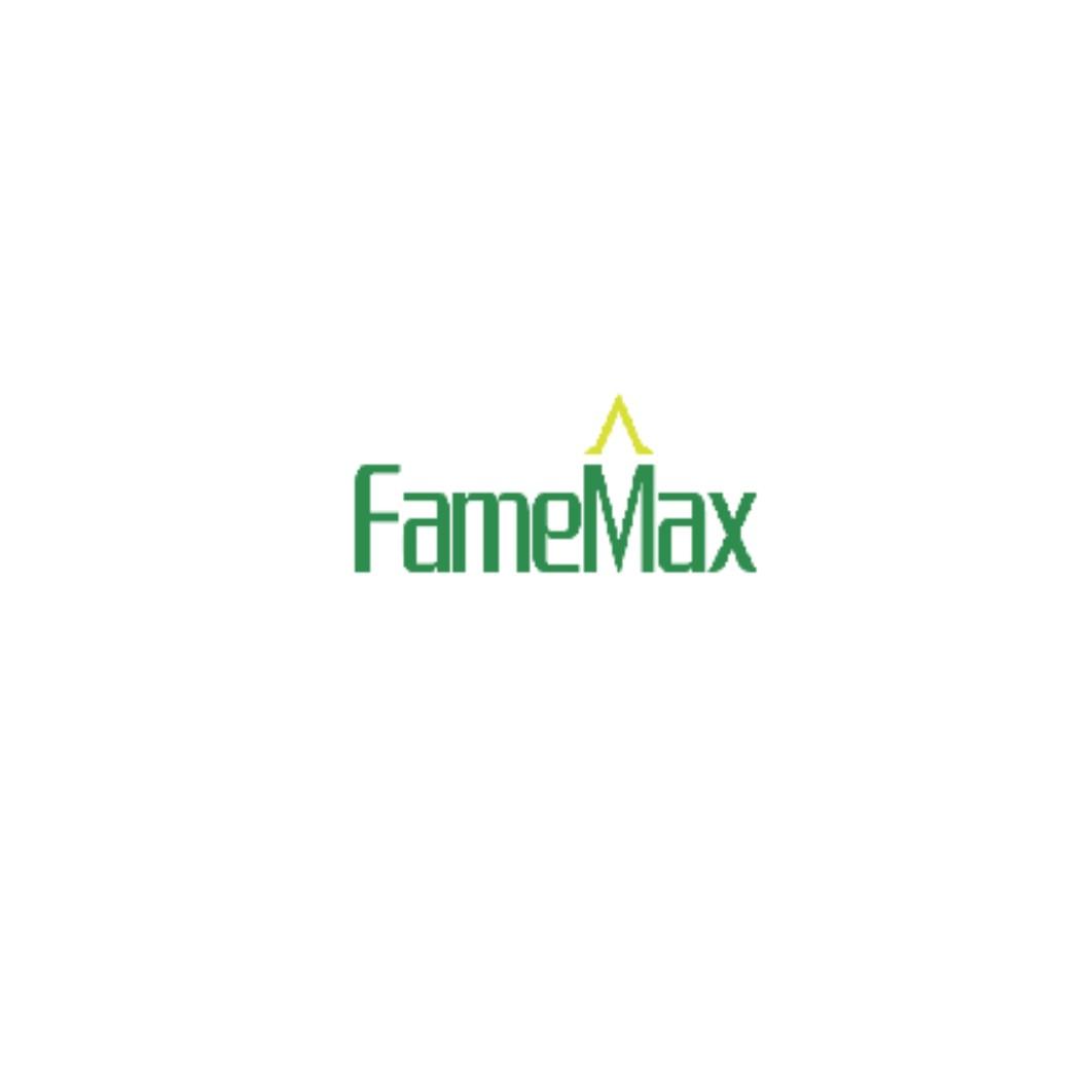 FAMEMAX商标转让