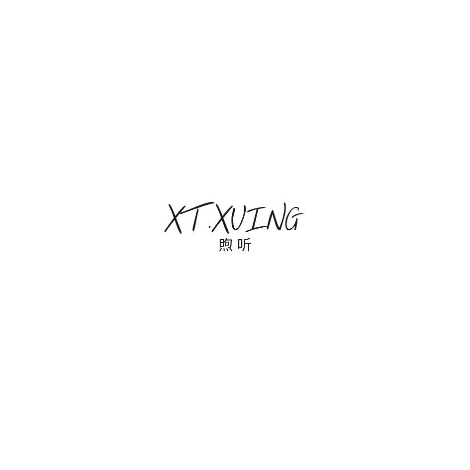 煦听 XT.XUING商标转让