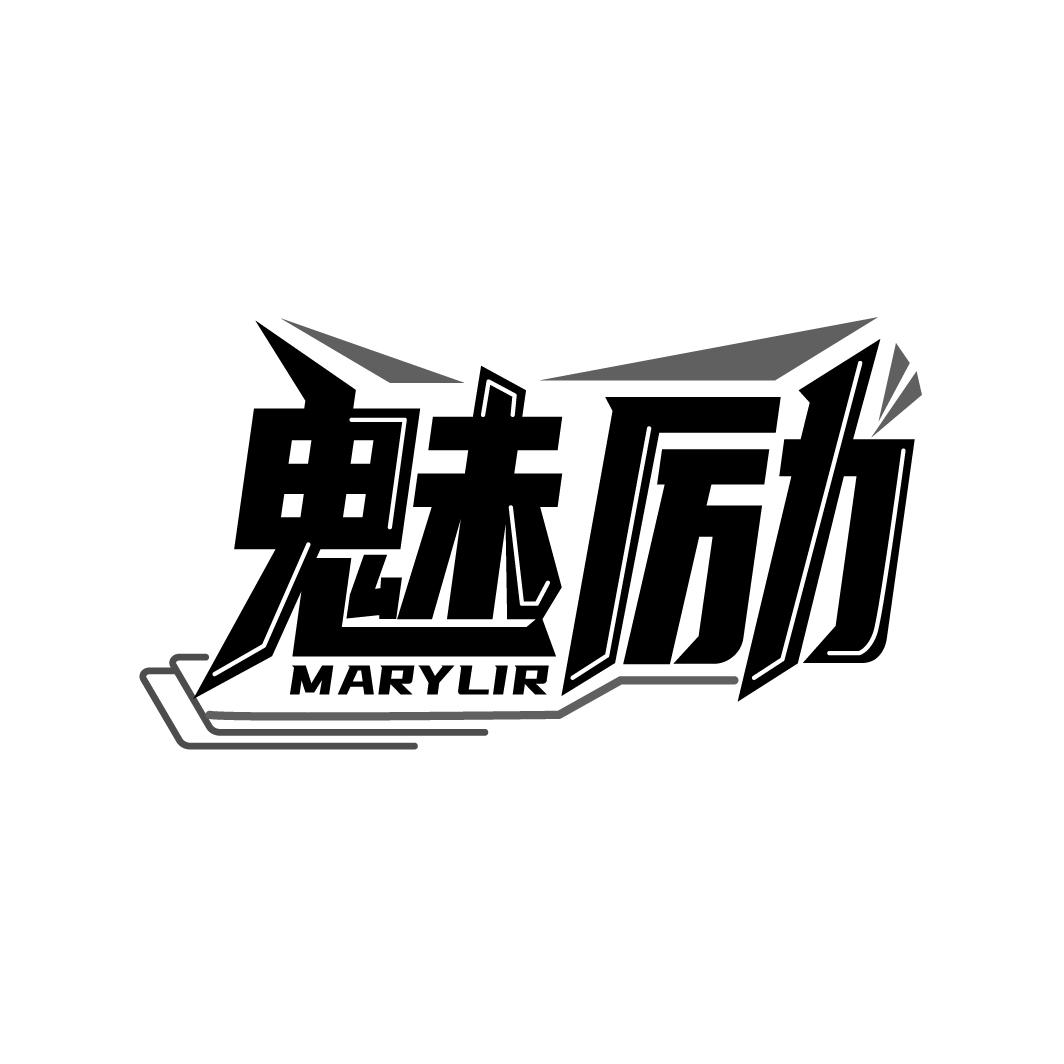09类-科学仪器魅励  MARYLIR商标转让