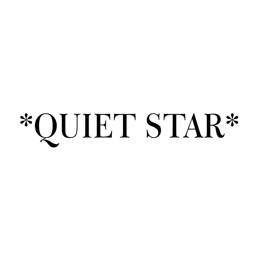 03类-日化用品QUIET STAR商标转让