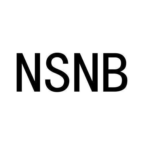21类-厨具瓷器NSNB商标转让
