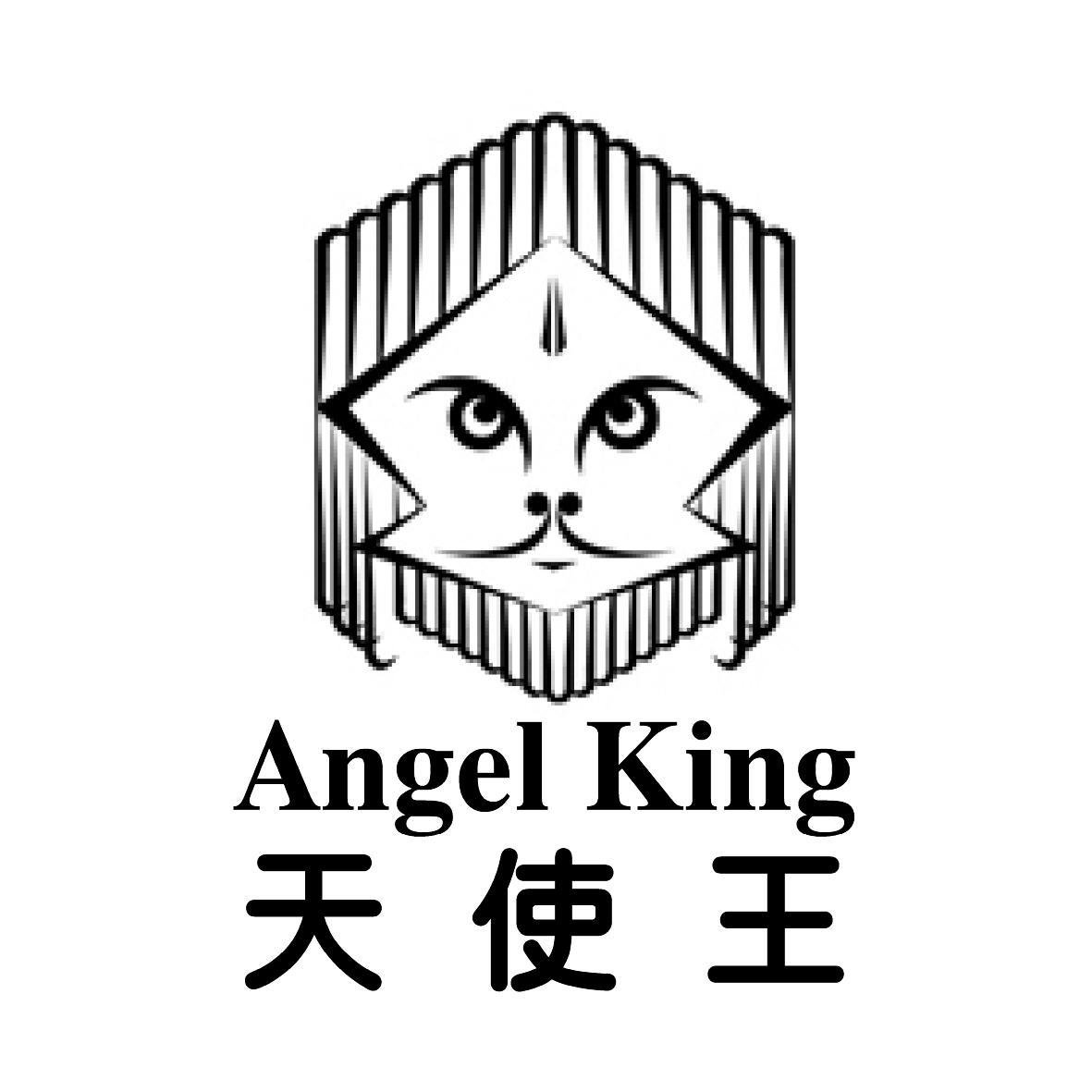 11类-电器灯具天使王  ANGEL KING商标转让