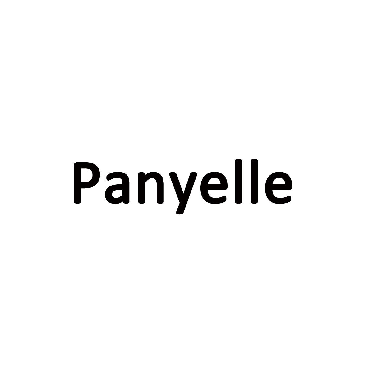 09类-科学仪器PANYELLE商标转让