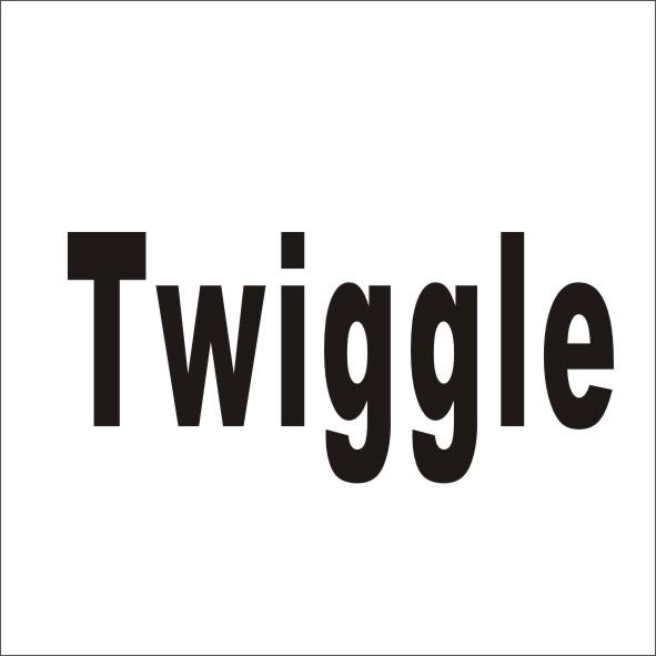 42类-网站服务TWIGGLE商标转让