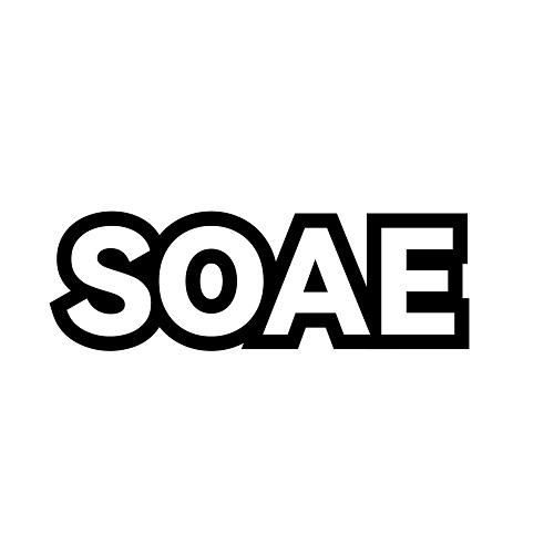 09类-科学仪器SOAE商标转让