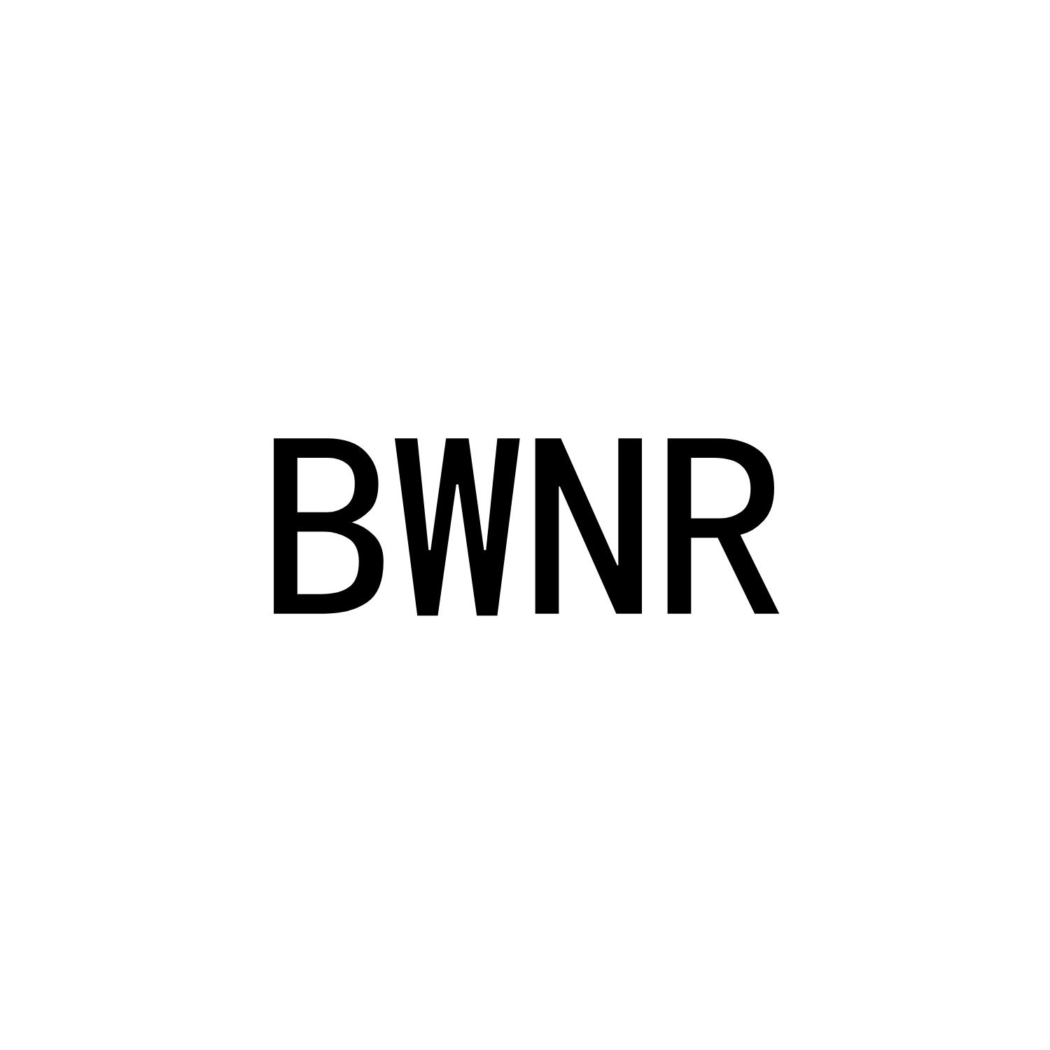 BWNR25类-服装鞋帽商标转让