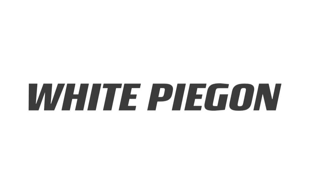 35类-广告销售WHITE PIEGON商标转让