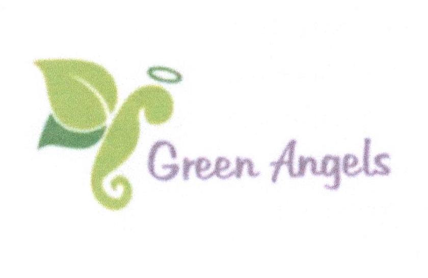 30类-面点饮品GREEN ANGELS商标转让