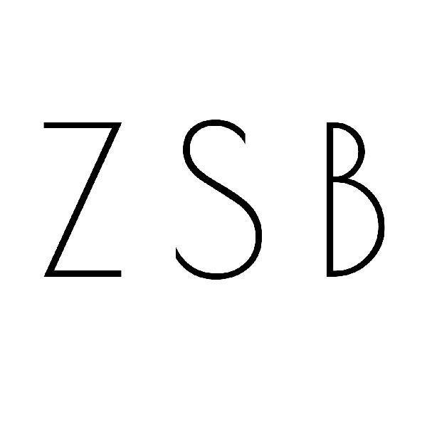 03类-日化用品ZSB商标转让