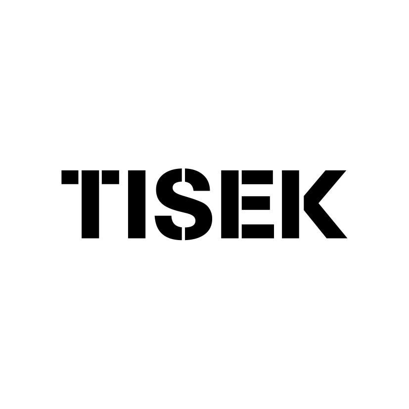 25类-服装鞋帽TISEK商标转让