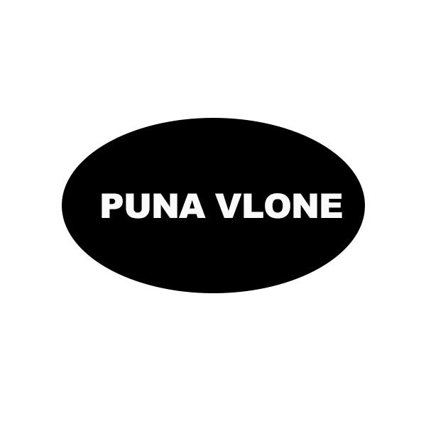 25类-服装鞋帽PUNA VLONE商标转让