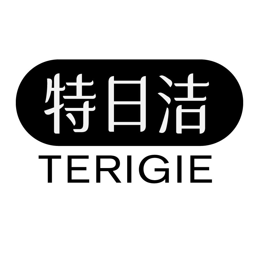 05类-医药保健特日洁 TERIGIE商标转让