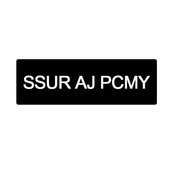 25类-服装鞋帽SSUR AJ PCMY商标转让