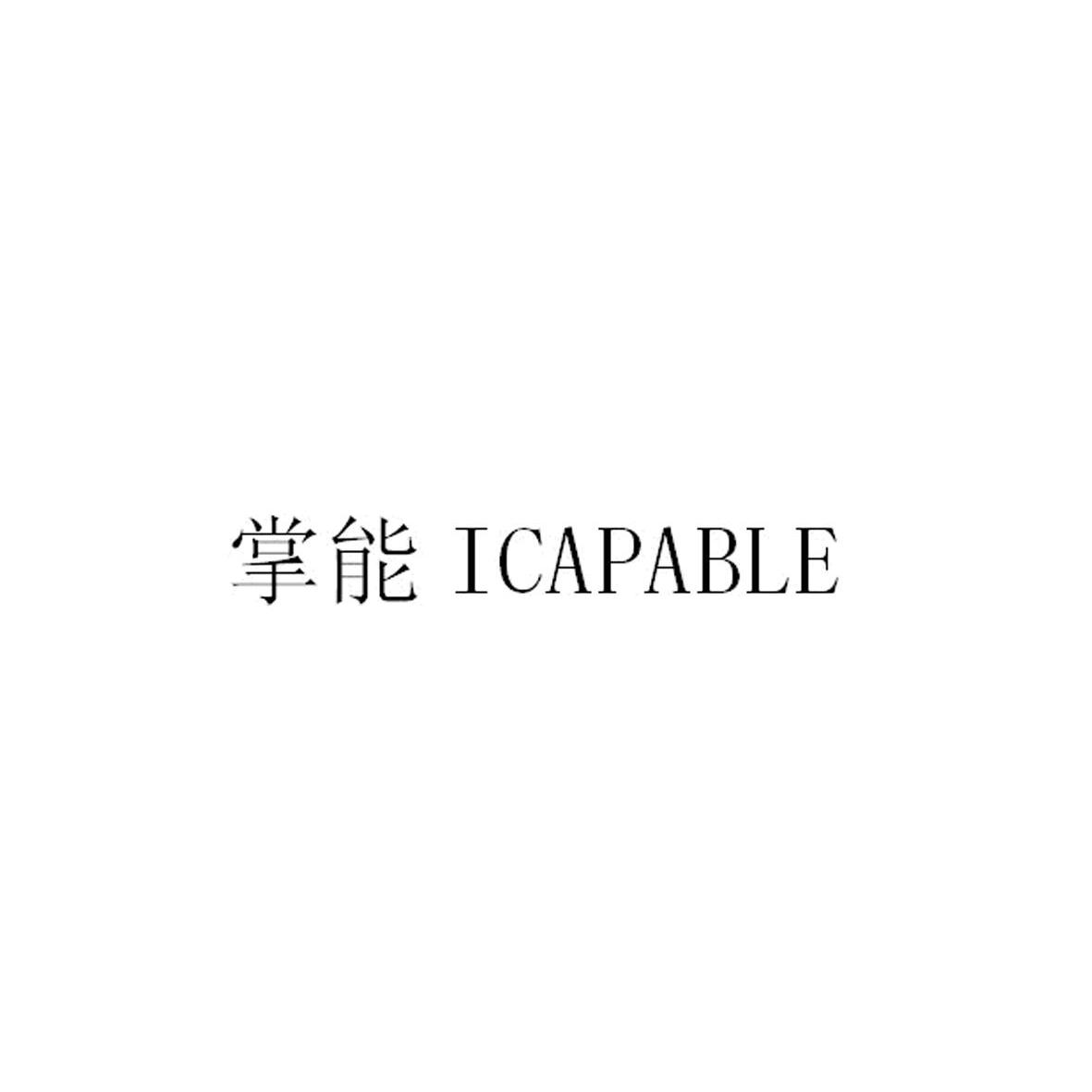 09类-科学仪器掌能 ICAPABLE商标转让