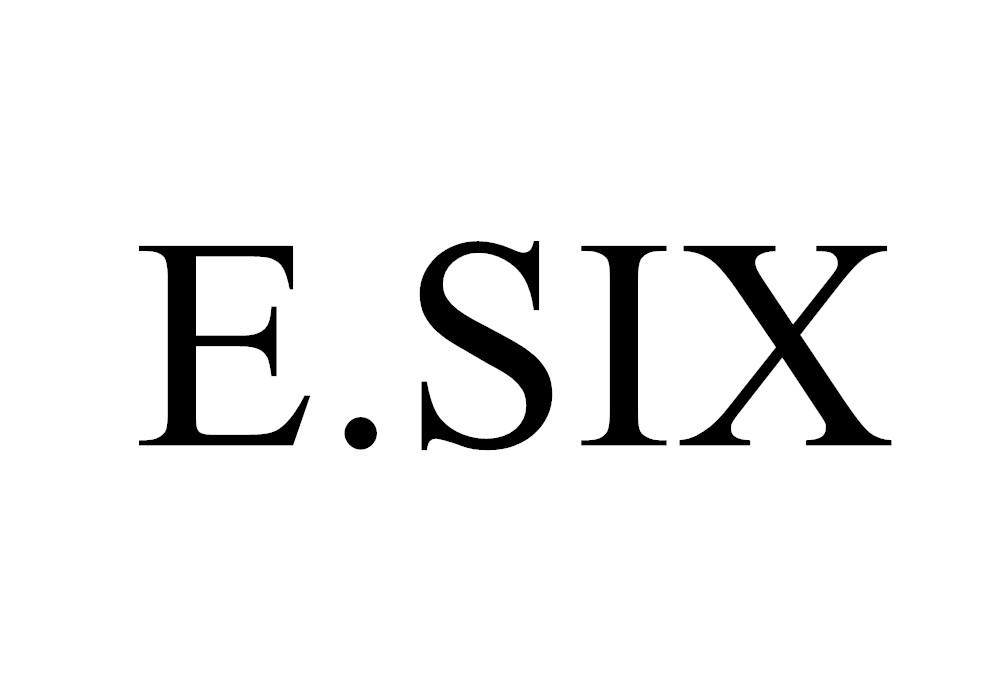 E.SIX商标转让