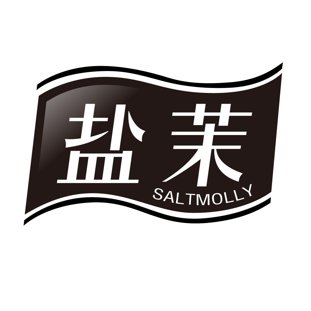 盐茉 SALTMOLLY