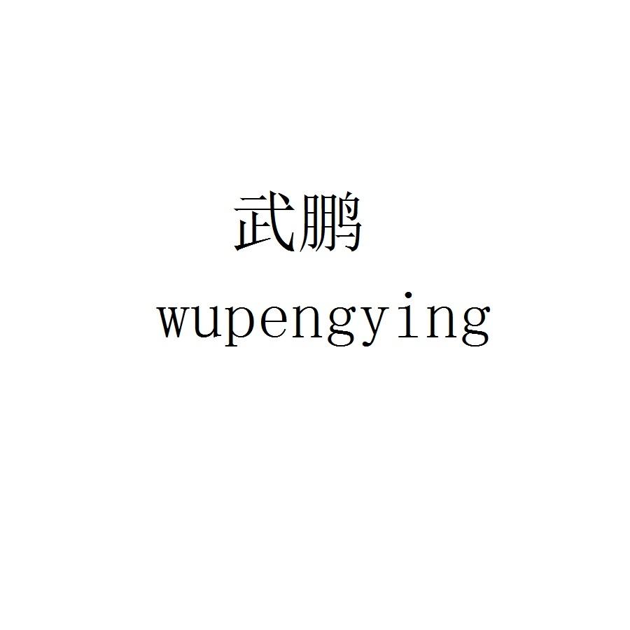 武鹏 WUPENGYING